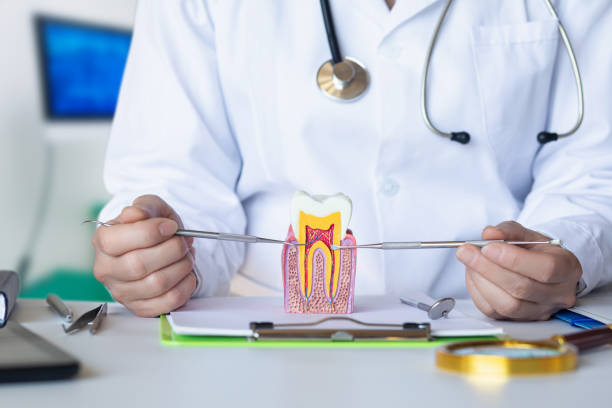 Best Emergency Orthodontic Repairs in Littlerock, CA